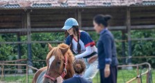 北影节三奖电影《走走停停》定档6月8日上映